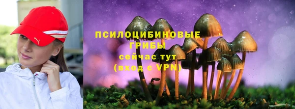 мяу мяу мука Вязники