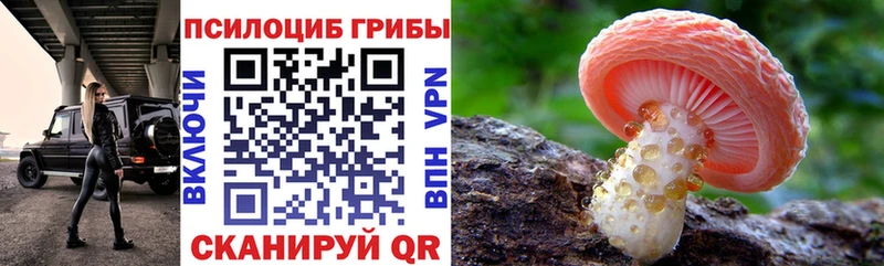 магазин продажи наркотиков  Певек  omg ТОР  Галлюциногенные грибы прущие грибы 